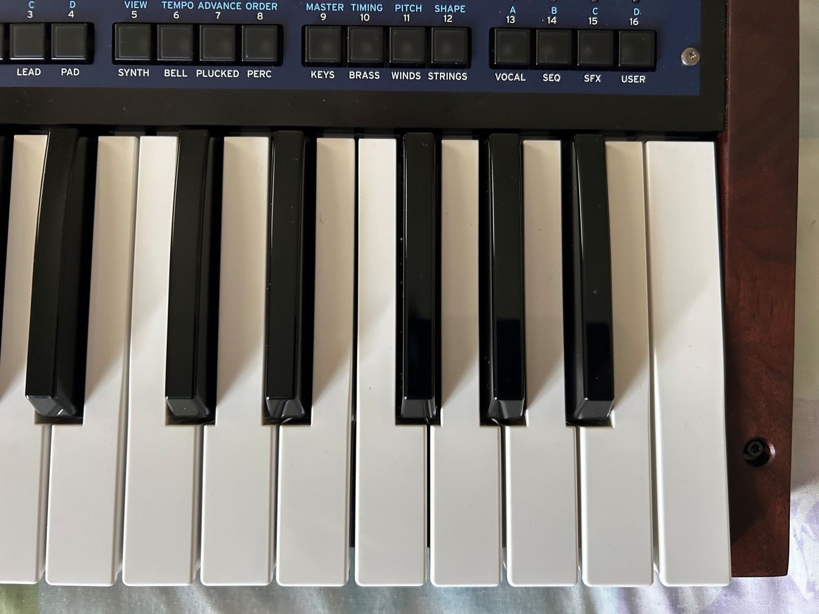Korg Multi/Poly 37-Key Analog Modeling Synthesizer 2024 - Present - Black & Blue with Wood Sides - Image 8