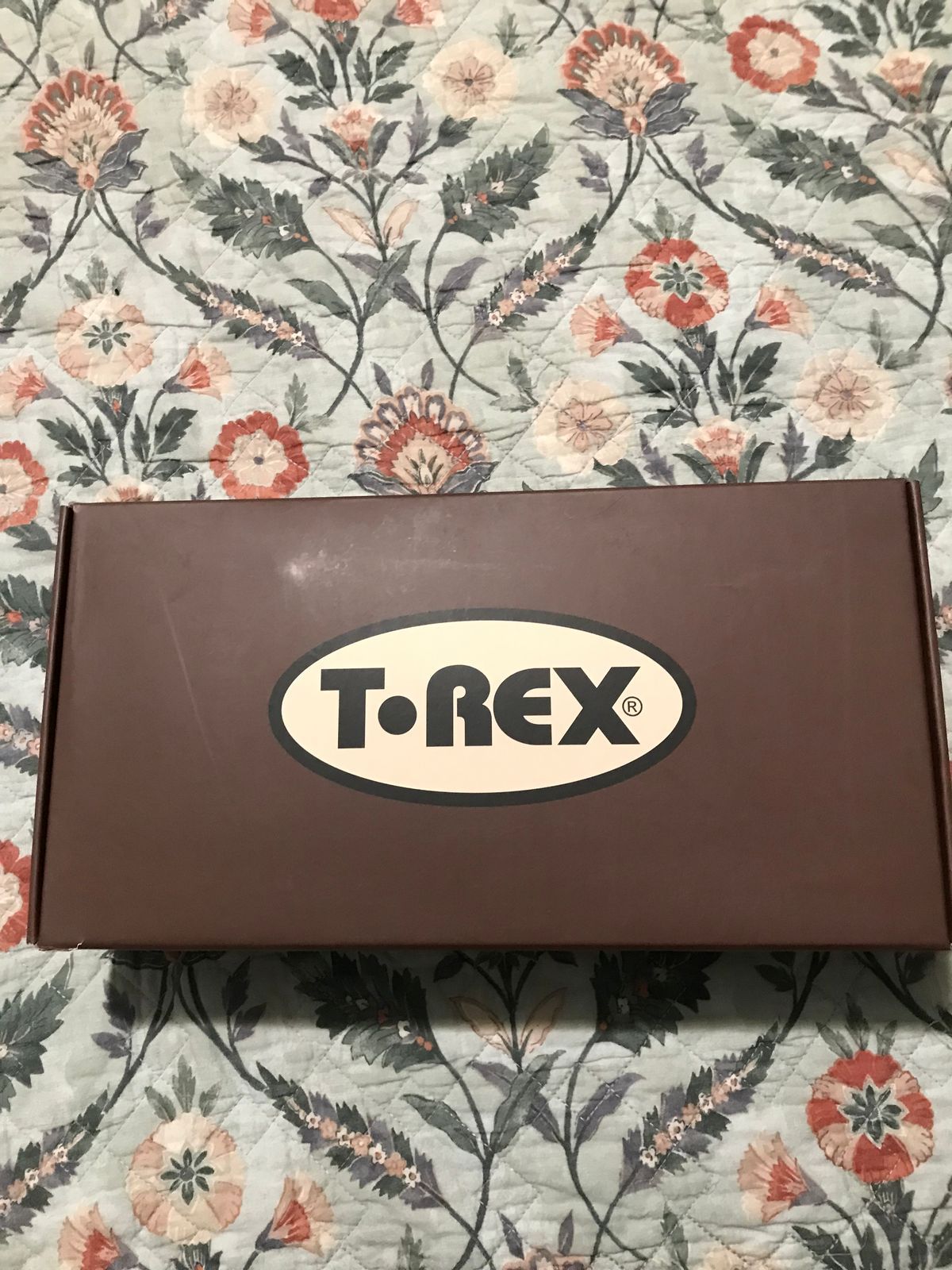 T-Rex Replicator D’Luxe Tape Echo 2010s - Copper - Image 6